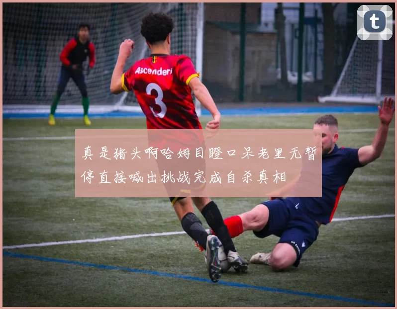 真是猪头啊哈姆目瞪口呆老里无暂停直接喊出挑战完成自杀真相