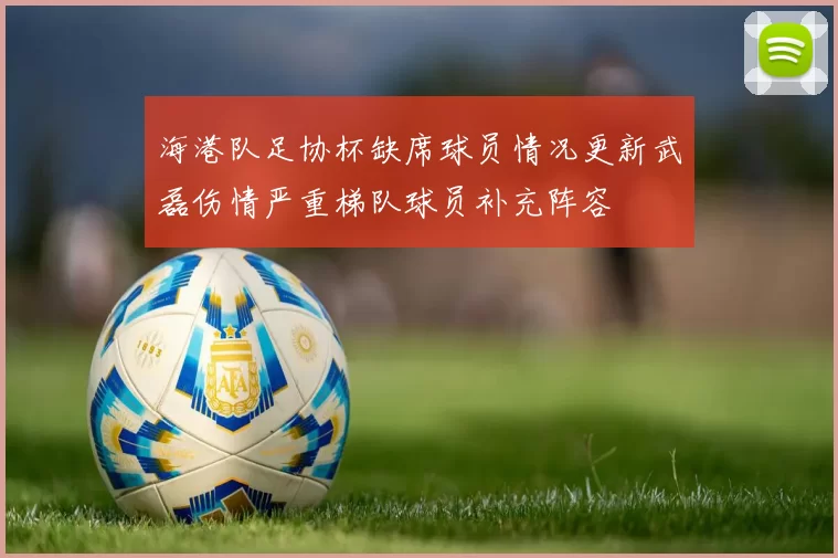 海港队足协杯缺席球员情况更新武磊伤情严重梯队球员补充阵容