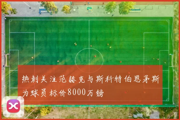 热刺关注范赫克与斯科特伯恩茅斯为球员标价8000万镑